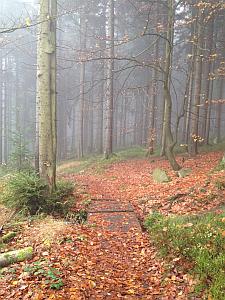 Höhenweg Fichtelgebirge 3 Höhenweg Fichtelgebirge