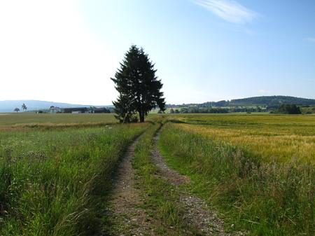 Quellenweg Fichtelgebirge