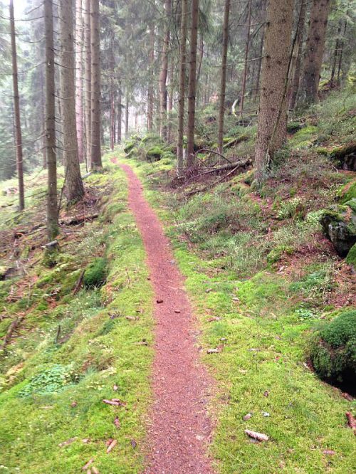 Mountainbiking (MTB) Downhill Fichtelgebirge
