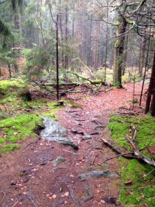 Biken im Fichtelgebirge