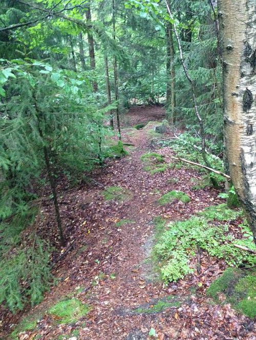 Mountainbiking (MTB) Downhill Fichtelgebirge