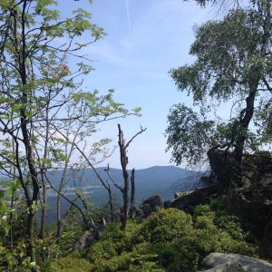 Höhenweg Fichtelgebirge 7 Höhenweg Fichtelgebirge
