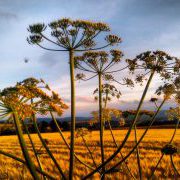 Wandern im Fichtelgebirge