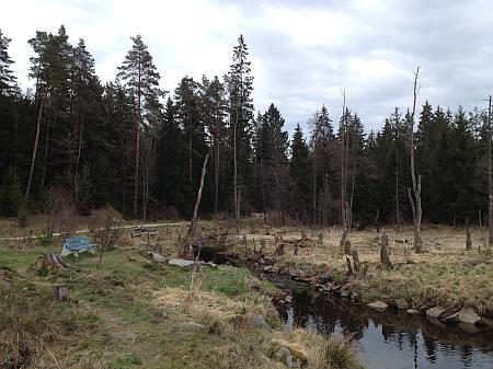 Paradies auf Erden, das Teutsche Paradeiß