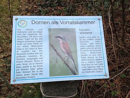 Paradies auf Erden